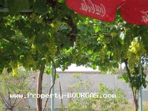 View of Houses For sale in Balgarovo