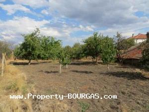 View of Houses For sale in Balgarovo