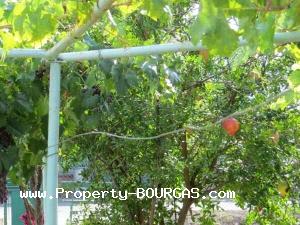 View of Houses For sale in Balgarovo