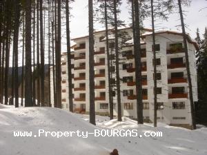 View of Large apartments For sale in Pamporovo