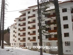 View of Large apartments For sale in Pamporovo