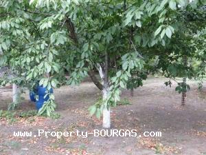 View of Houses For sale in Cherno more