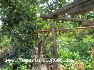 View of Houses For sale in Banevo