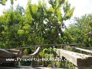 View of Houses For sale in Banevo