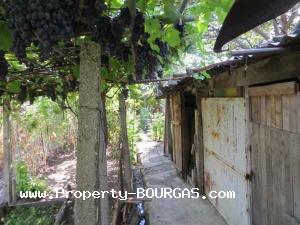 View of Houses For sale in Banevo