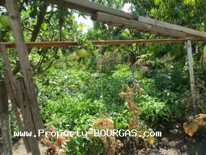 View of Houses For sale in Banevo