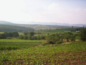 View of Land for sale, plots For sale in Skalak