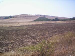 View of Land for sale, plots For sale in Dabnik